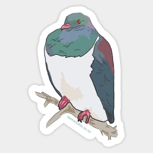 Hand Drawn New Zealand Wood Pigeon Bird Sticker